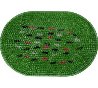 Коврик придверный резиновый ComeForte «FRG» 40x60см Green овал 10шт/уп