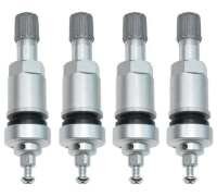 TPMS-25 Комплект вентилей под датчик(4шт)